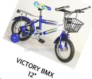Victory 12 Inch Kids Bicycle