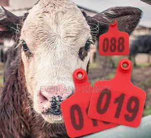 Premium Livestock Tracking Ear Tags - Numbered