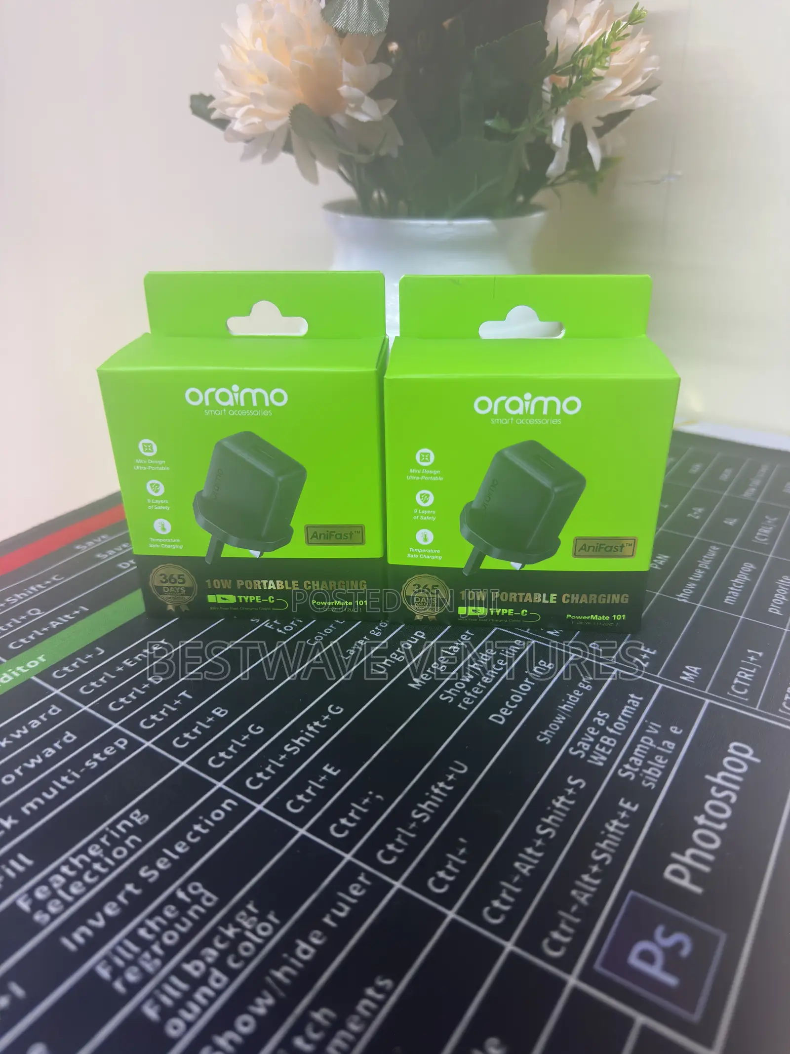 Oraimo Type C Charger