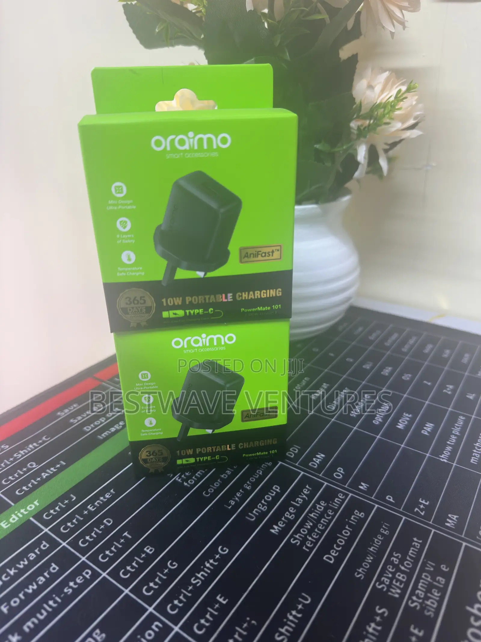Oraimo Type C Charger