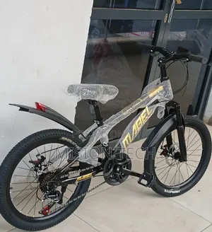 20 Inch Mountain Bike **