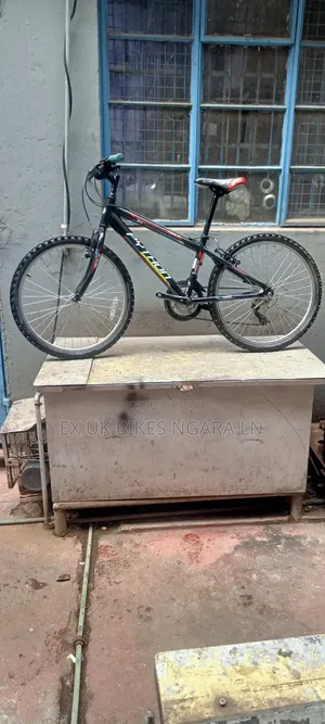 Ex UK Size 24 Bicycle for 8-11 Yr Old