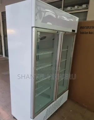 Specious Show Case Display Refrigerator