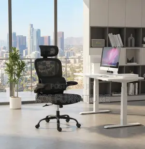 Office Chairs; Orthopedic Reclining Breathable Fabric Chairs