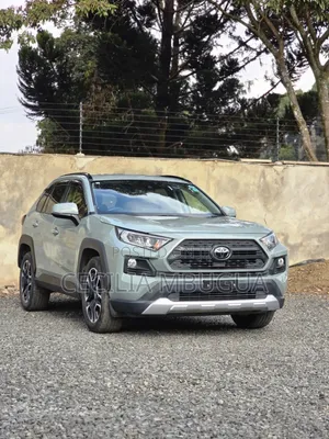 Toyota RAV4 Adventure 2019 Green