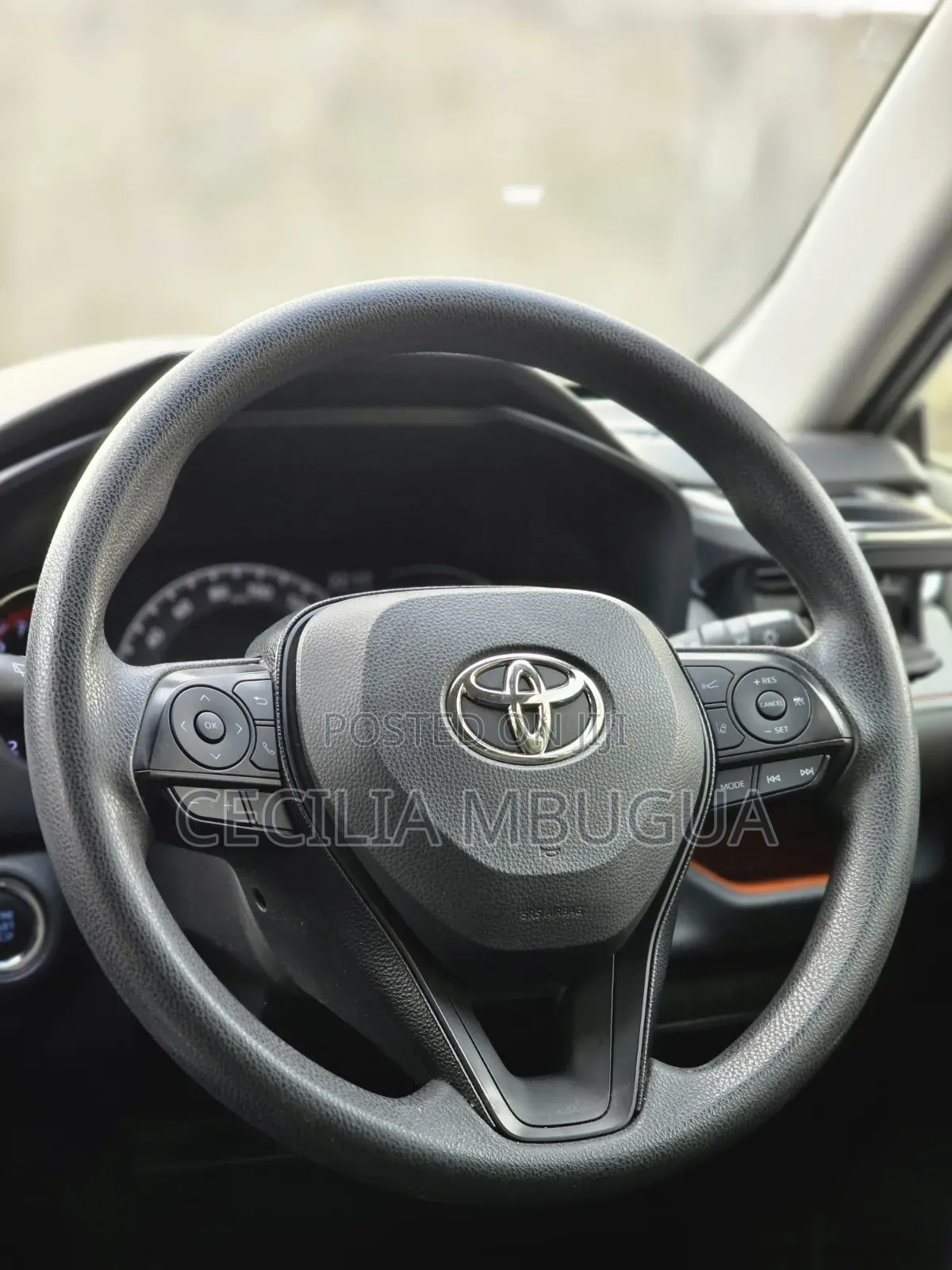 Toyota RAV4 Adventure 2019 Green