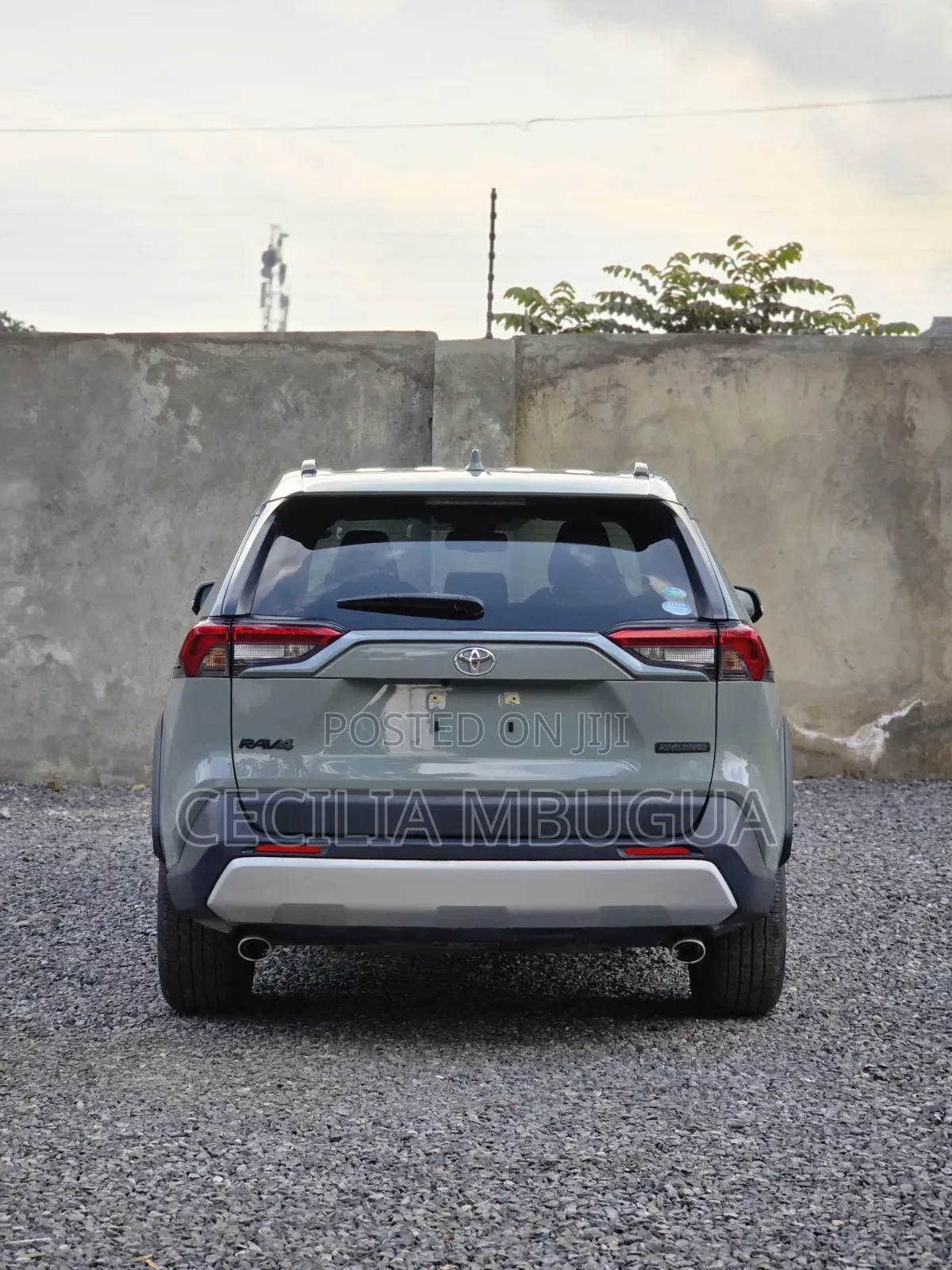Toyota RAV4 Adventure 2019 Green
