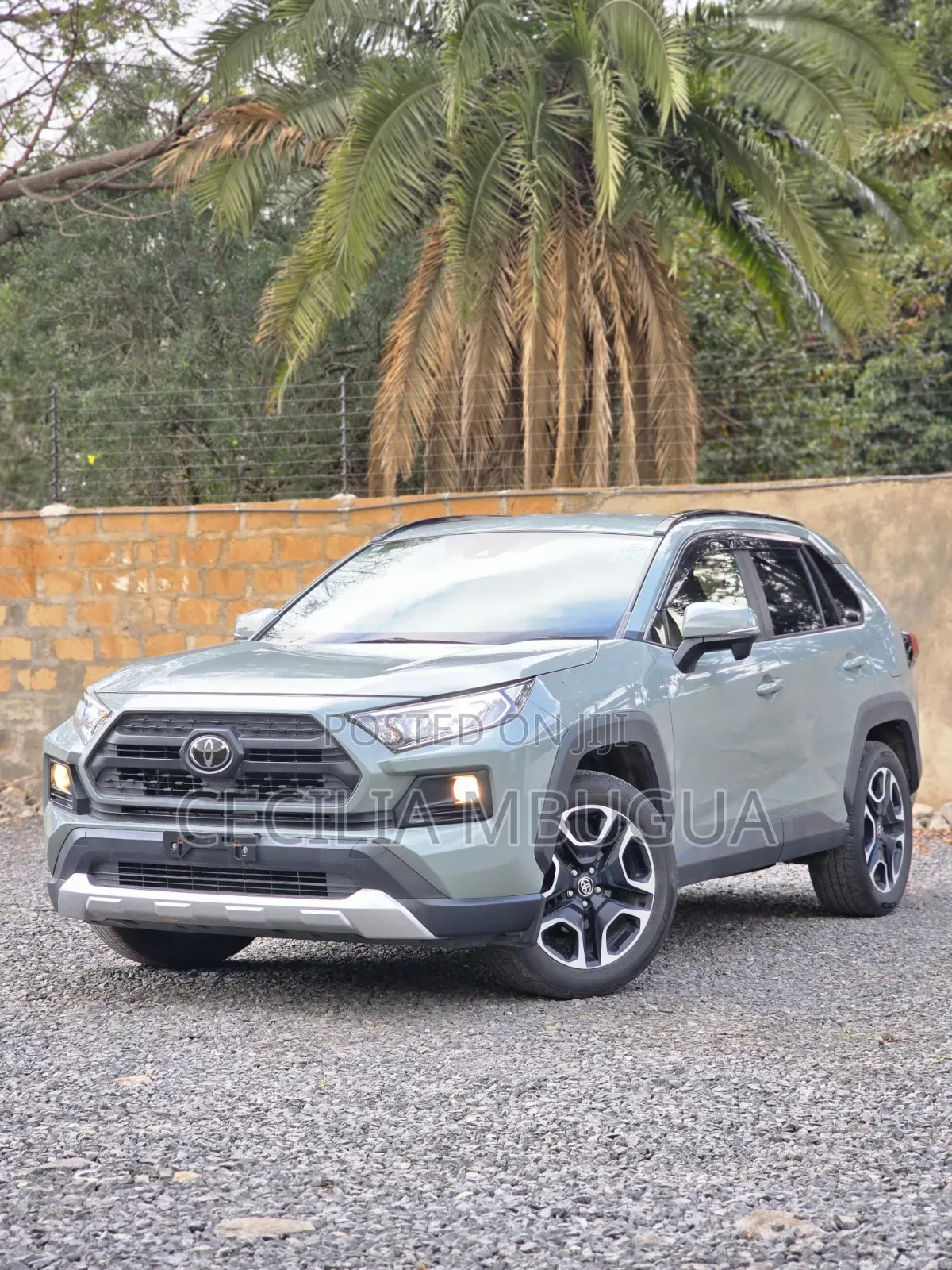 Toyota RAV4 Adventure 2019 Green