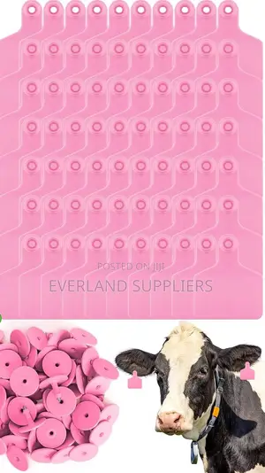 Premium Quality Cattle Ear Tags Medium Plain Pink