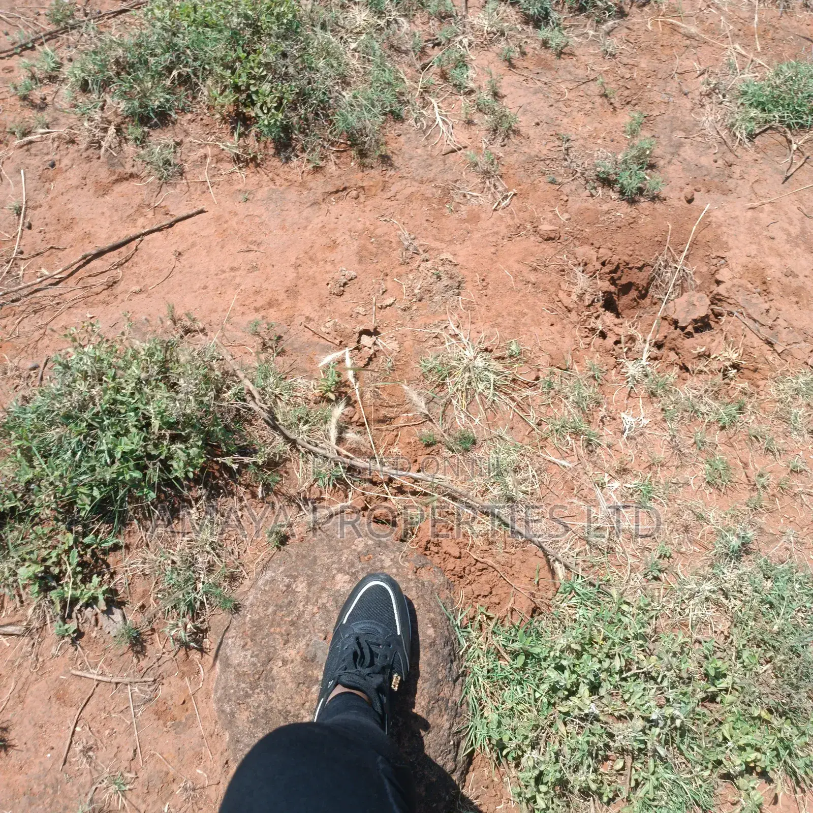 Kimuka Plots for Sale