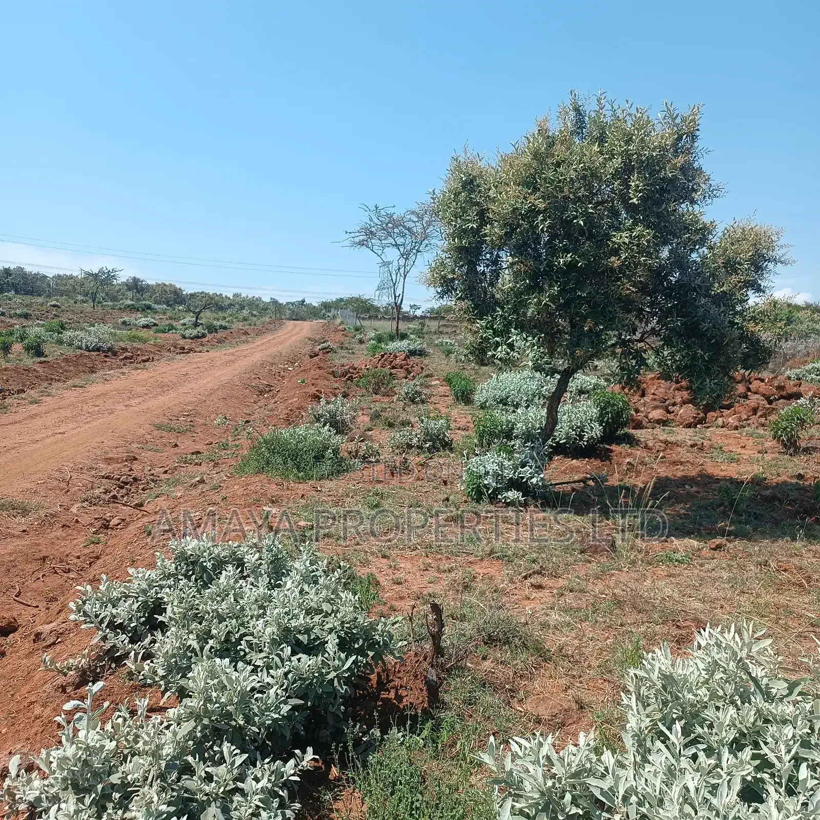 Kimuka Plots for Sale