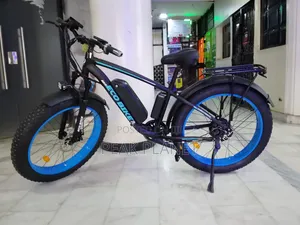 Powerful 48V 1000W E-Bike for Sale