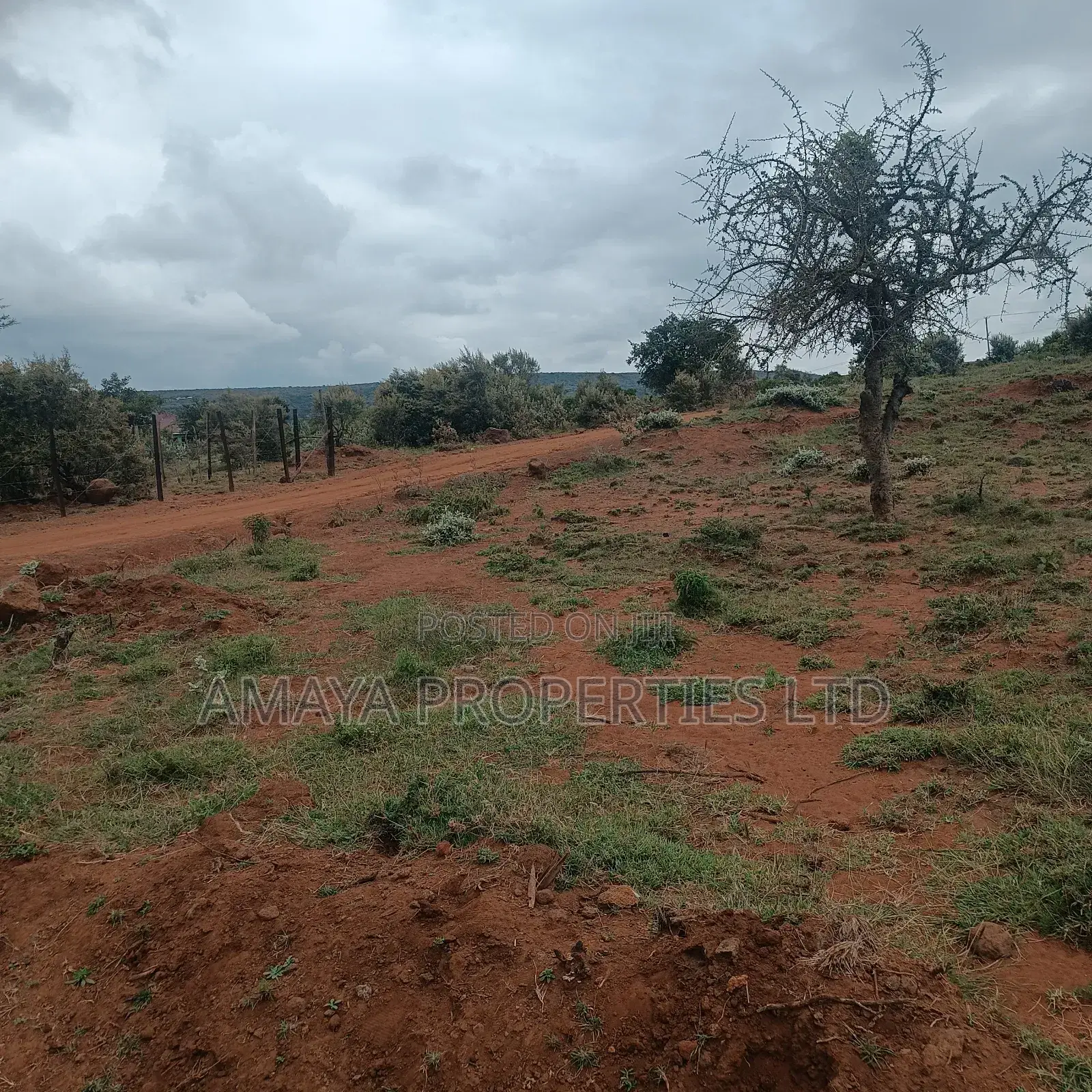 Affordable Plots in Ngong Kimuka Area