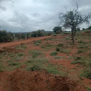 Affordable Plots in Ngong Kimuka Area