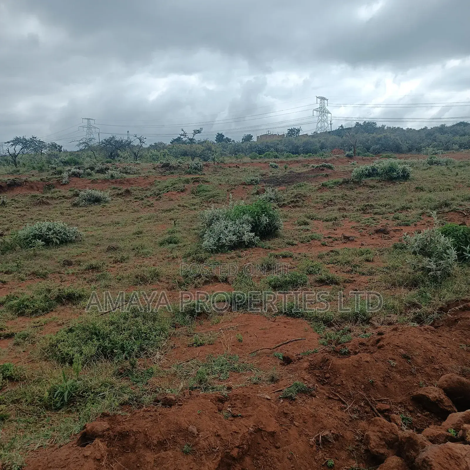 Affordable Plots in Ngong Kimuka Area