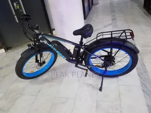 Electric Cargo Bike 1000W – 200KG Capacity