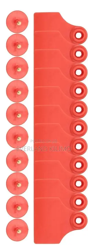 Long-Lasting Numbered Small Plain Ear Tags for Herd Management