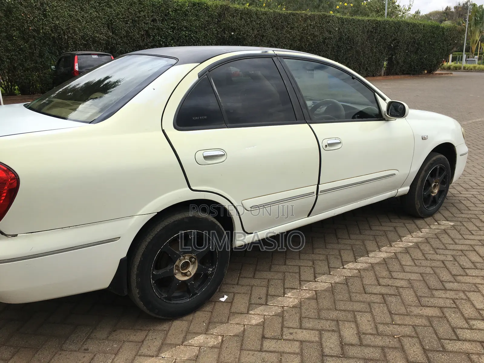 Nissan Bluebird 2005 Pearl