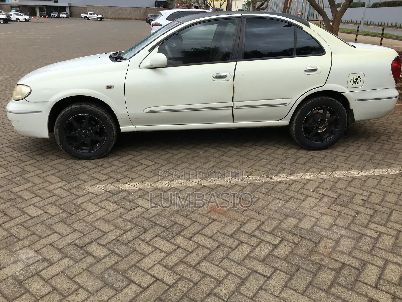 Nissan Bluebird 2005 Pearl