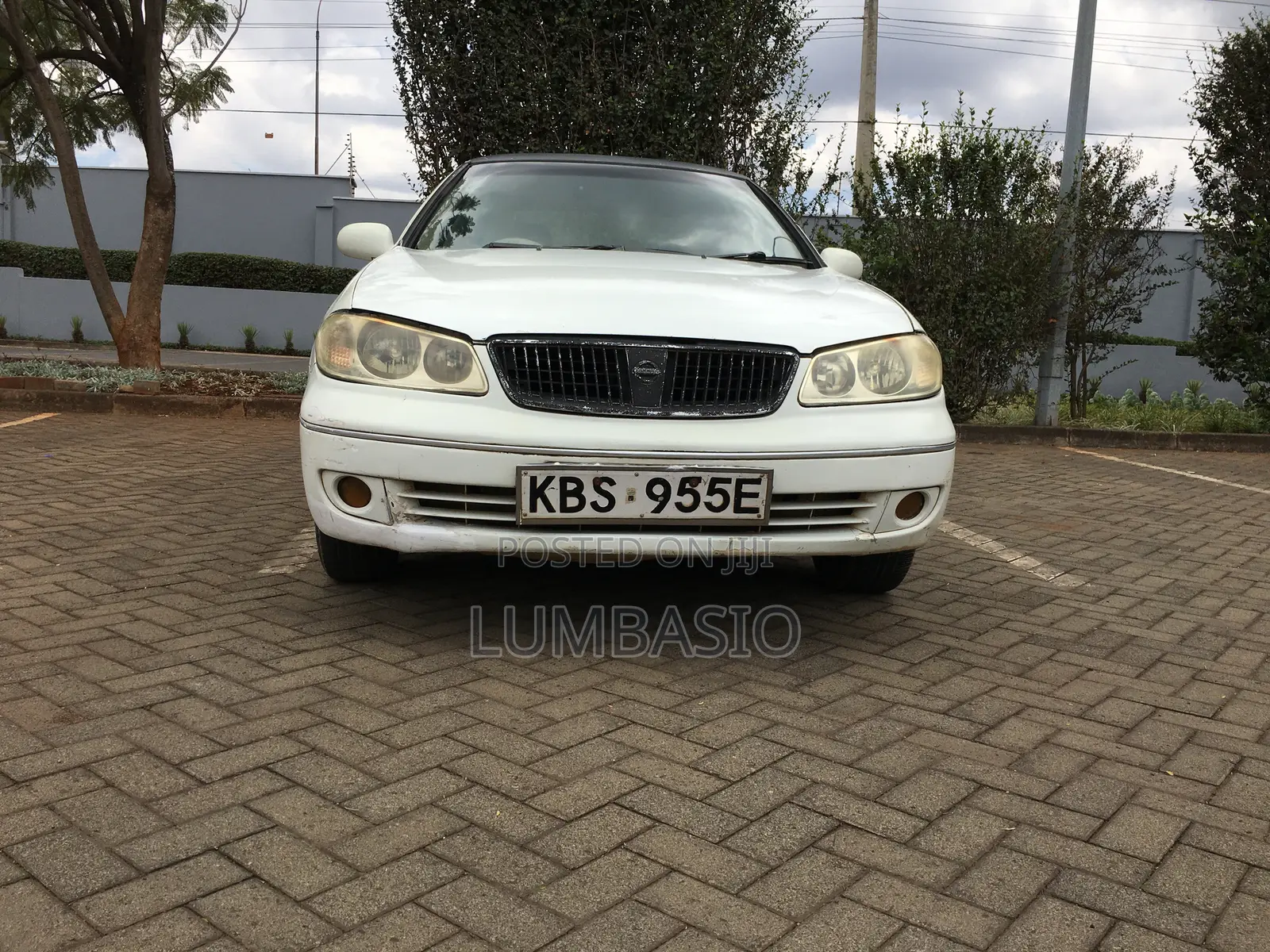 Nissan Bluebird 2005 Pearl