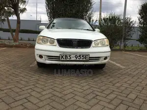 Nissan Bluebird 2005 Pearl
