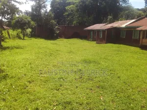 Plot on Sale at Kakamega Malava Area