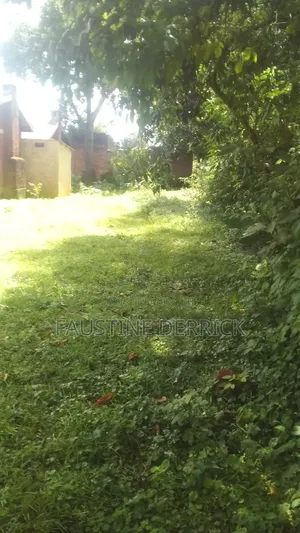 Plot on Sale at Kakamega Malava Area