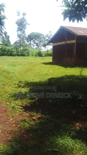 Plot on Sale at Kakamega Malava Area