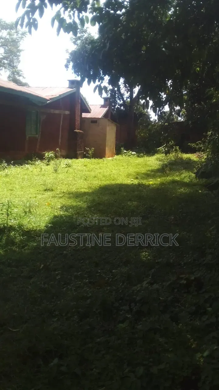 Plot on Sale at Kakamega Malava Area