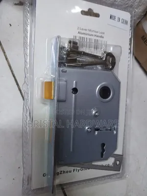 Fly Globe 2 Lever Door Lock
