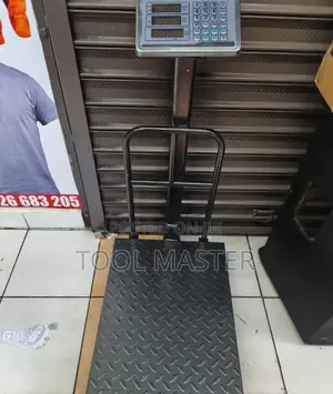 Platform Digital Weighing Scale/150kg Platform Scale