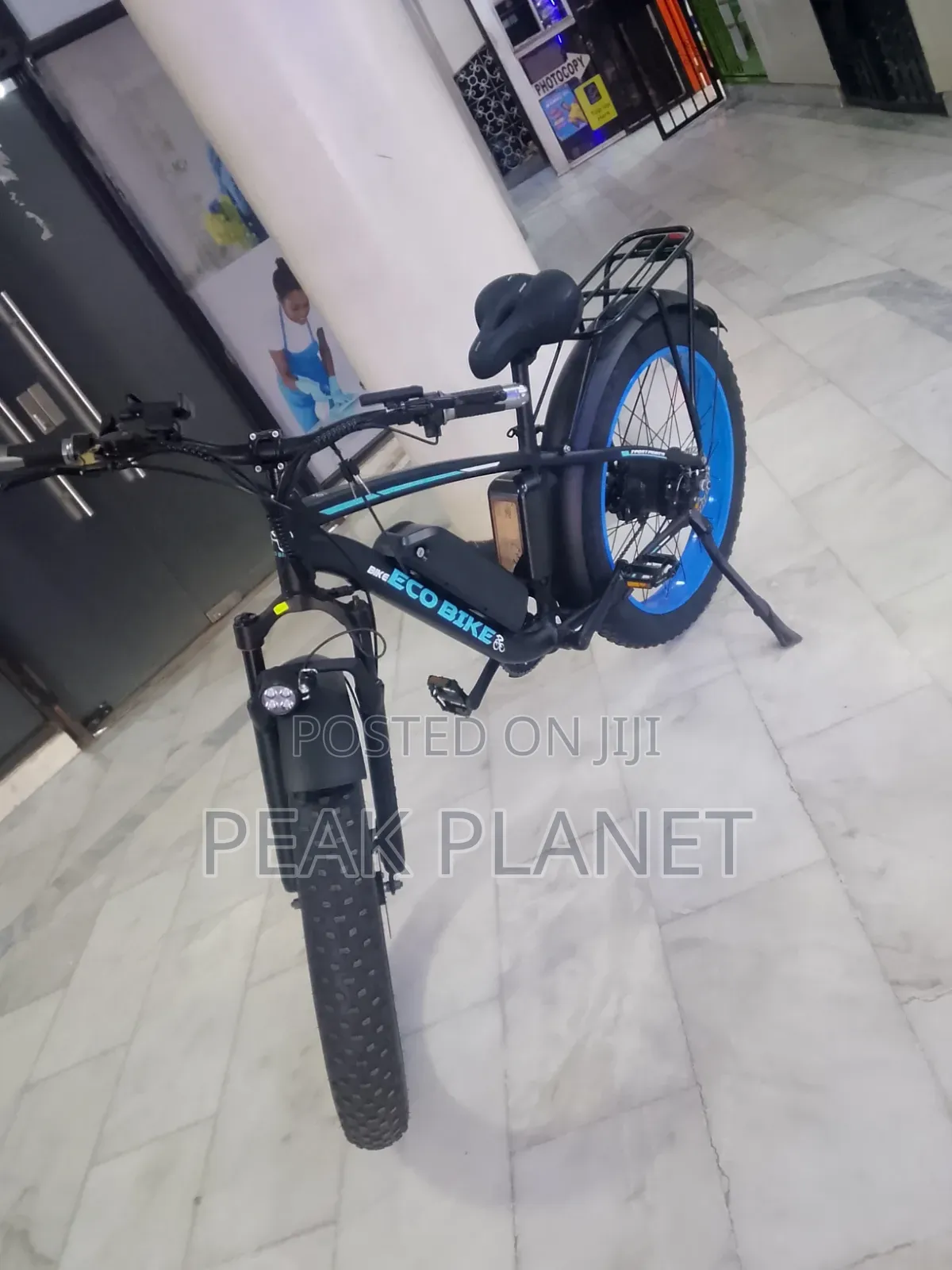 1000W Long Range Electric Cargo Bike Kenya