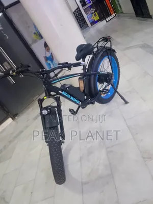 1000W Long Range Electric Cargo Bike Kenya