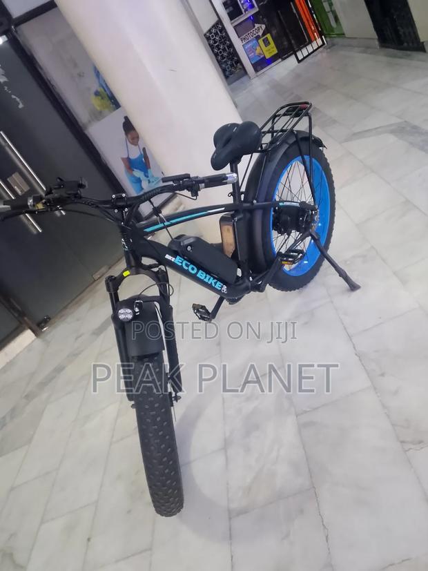 1000W Long Range Electric Cargo Bike Kenya - main view