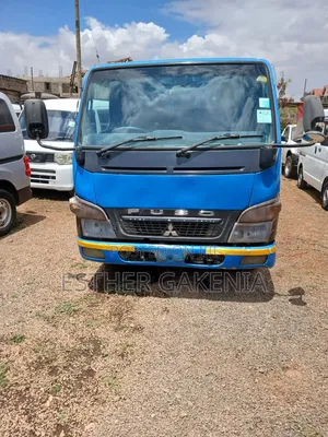 Mitsubishi Canter 2008 Blue