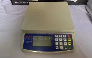 DT-580 Electronic Price Computing Scale 30kg/1g