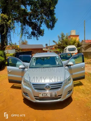 Volkswagen Tiguan 2010 Silver