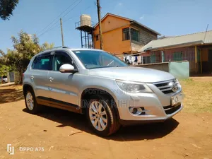 Volkswagen Tiguan 2010 Silver