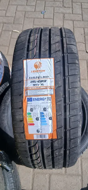 225/45r17 Lenston