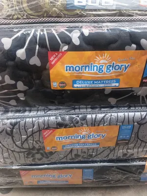 12 Inches 4 by 6 Morning Glory Medium Density Mattress