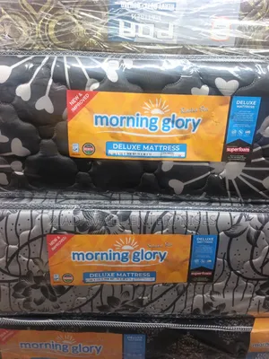 Morning Glory Mattress 4 by 6 12 Inches Quilted Medium Density