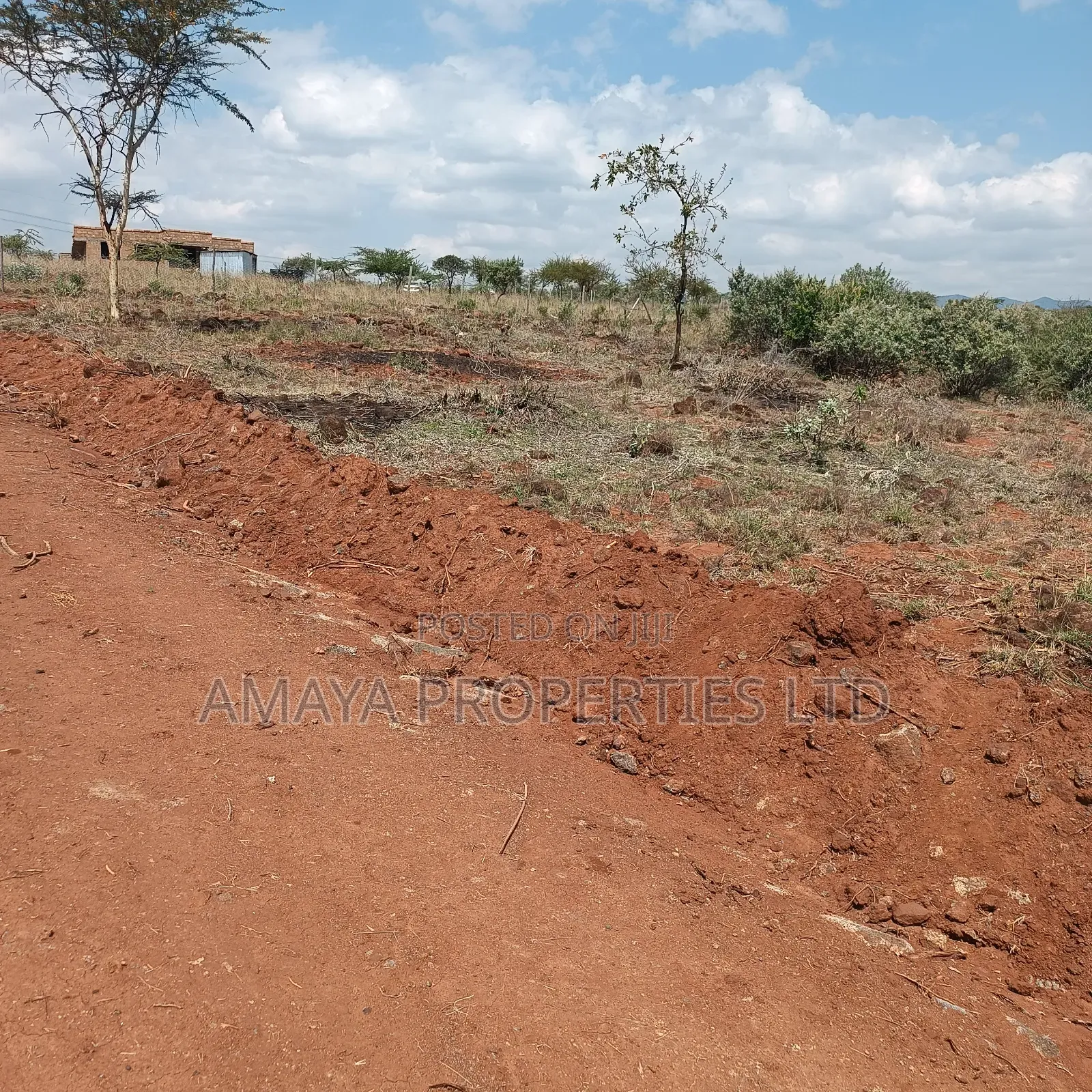 Prime Plots for Sale 100 Metres Off Tarmac