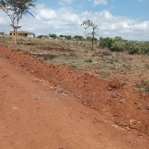 Prime Plots for Sale 100 Metres Off Tarmac