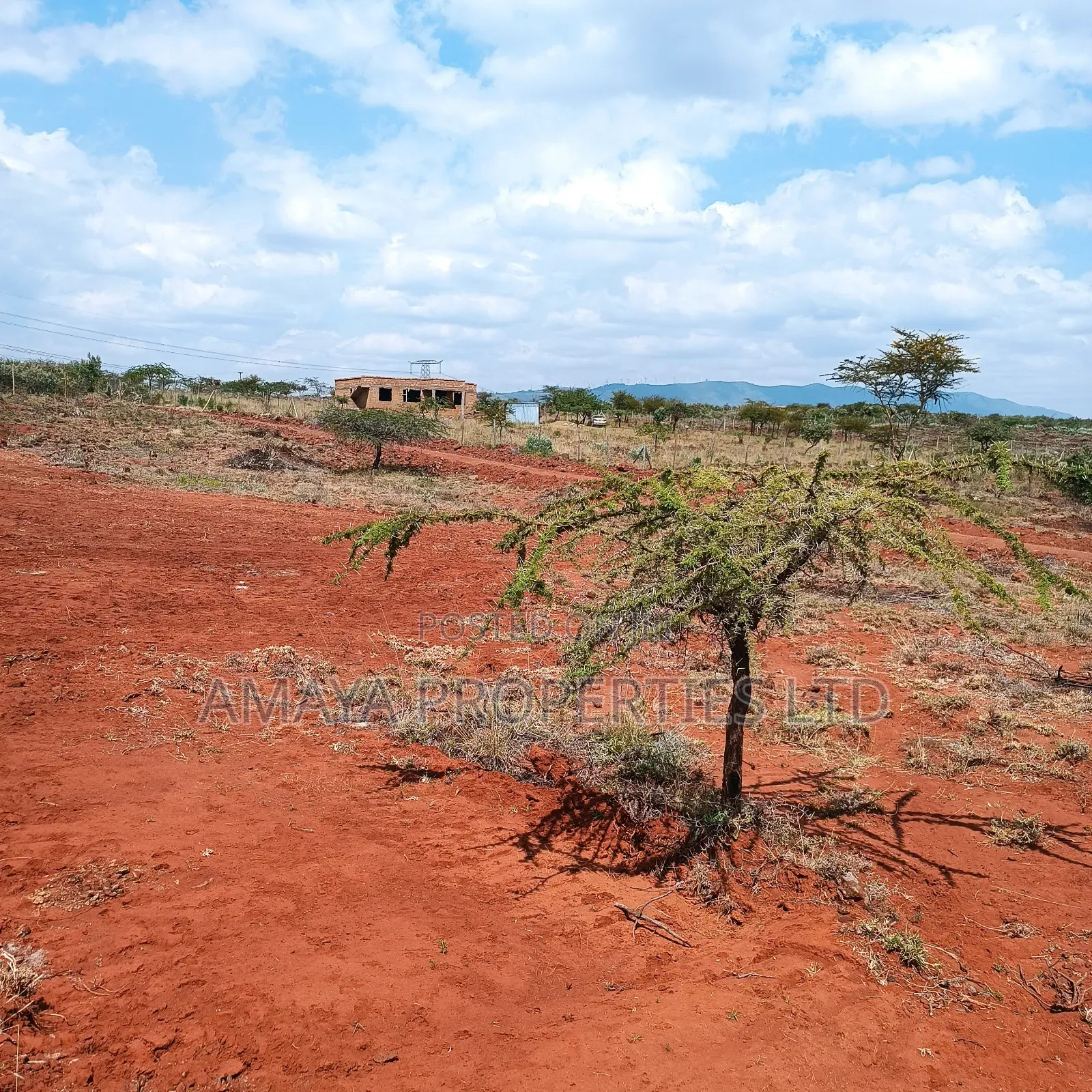 Prime Plots for Sale 100 Metres Off Tarmac