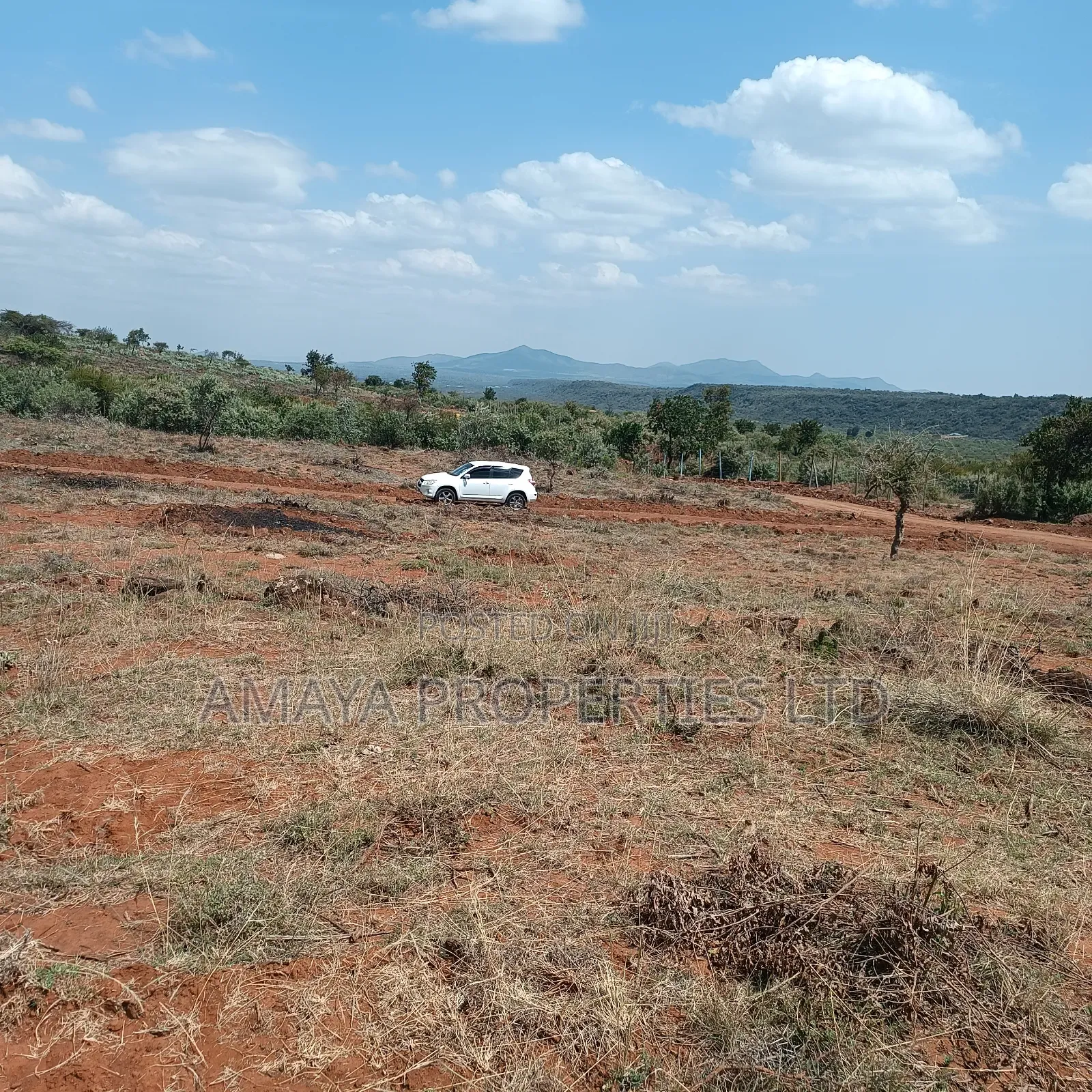 Prime Plots for Sale 100 Metres Off Tarmac