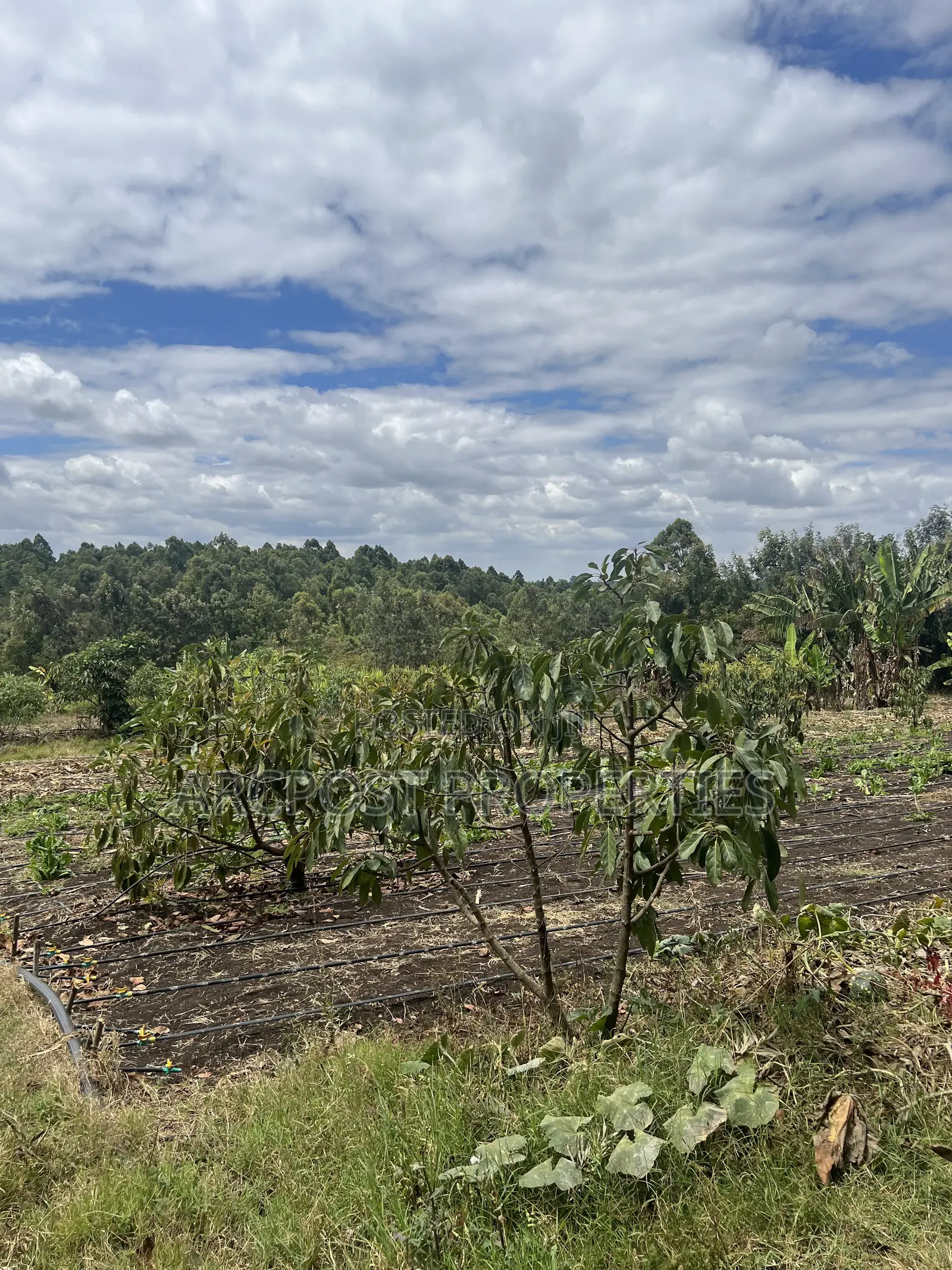 2 Acres Prime Land for Sale in Olkeri 200m From Tarmac With Borehole