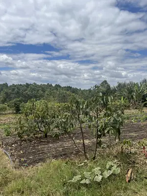 2 Acres Prime Land for Sale in Olkeri 200m From Tarmac With Borehole