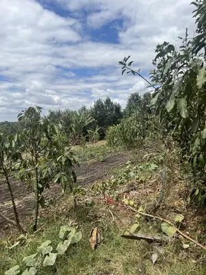 2 Acres Prime Land for Sale in Olkeri 200m From Tarmac With Borehole