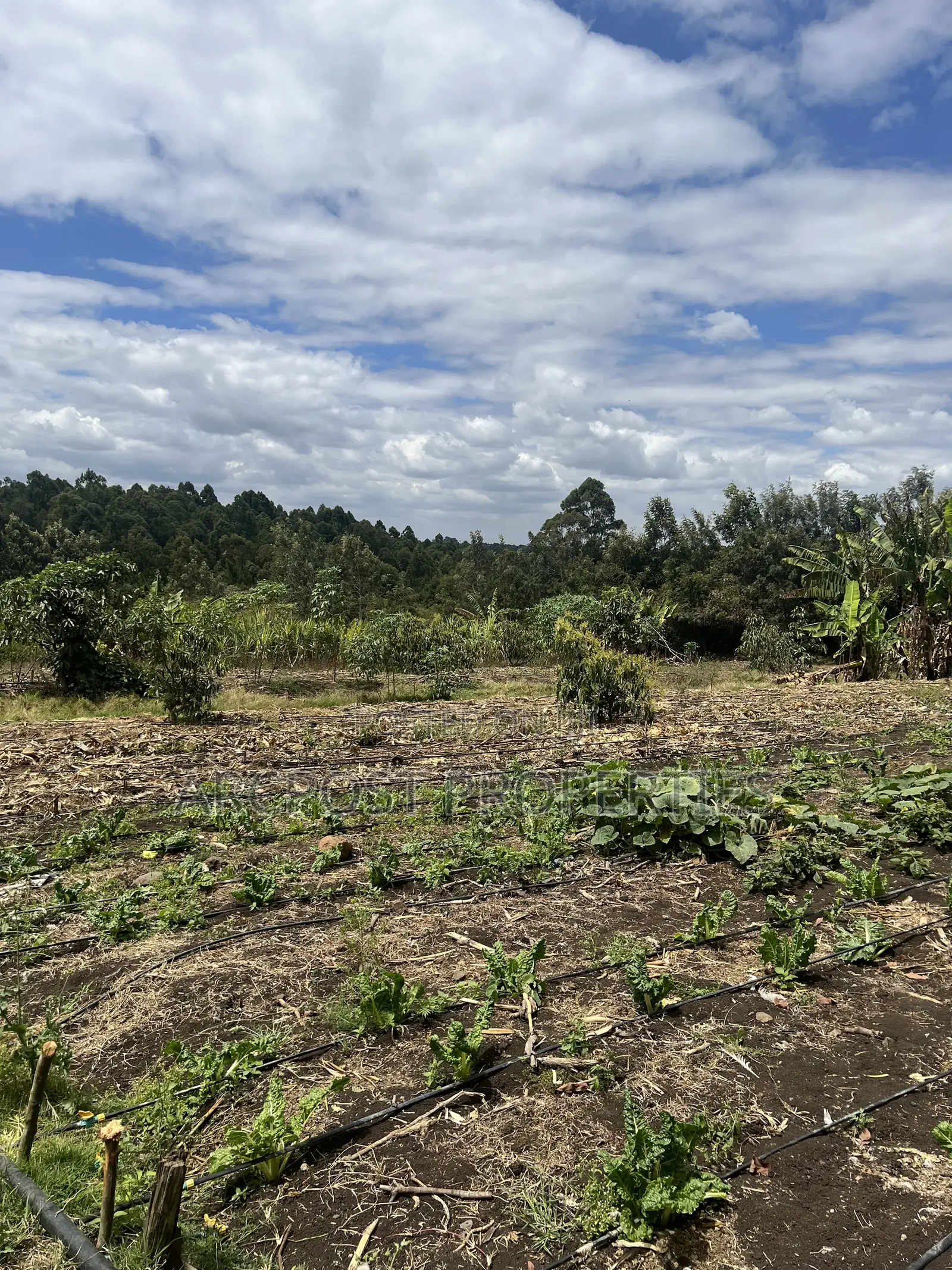 2 Acres Prime Land for Sale in Olkeri 200m From Tarmac With Borehole