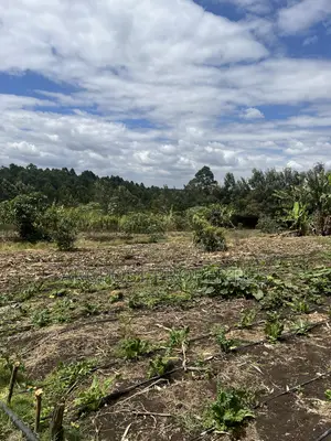 2 Acres Prime Land for Sale in Olkeri 200m From Tarmac With Borehole